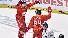 Hokejisté z Olomouce se radují z gólu do sít Plzn.