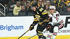 David Pastrák (88) z Boston Bruins kontroluje puk v zápase s Chicago...