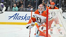 Luká Dostál v brán Anaheim Ducks