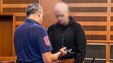 Mu u hradeckého krajského soudu elí obalob z vrady kojence a tkého...