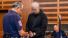 Mu� u hradeckého krajského soudu �elí ob�alob� z vra�dy kojence a t�kého...