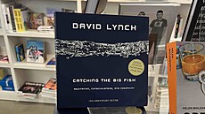 Na procházce výstavou Up in Flames se konalo i tení z knihy Chytáních...