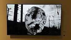 Zábr z videa Ant Head, kde se 13 minut odehrává pouze jeden prostý motiv -...