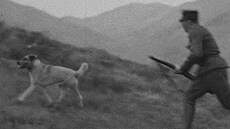 Nejpodivn�j�í válka 20. století. �ecko bojovalo s Bulharskem kv�li psovi