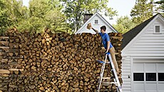 Z právního pohledu sousedka nebude mít v ruce silný argument ke sníení hranice.