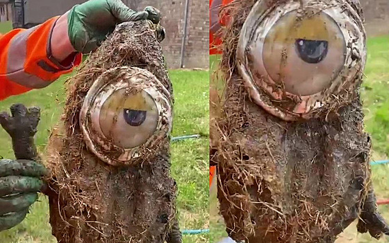 Plyový Mimo spláchnutý do záchoda