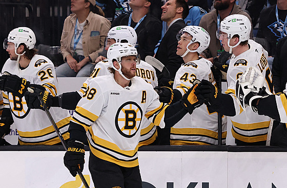 Úto�ník David Pastr�ák z Boston Bruins se raduje z trefy proti Utah Mammoth.