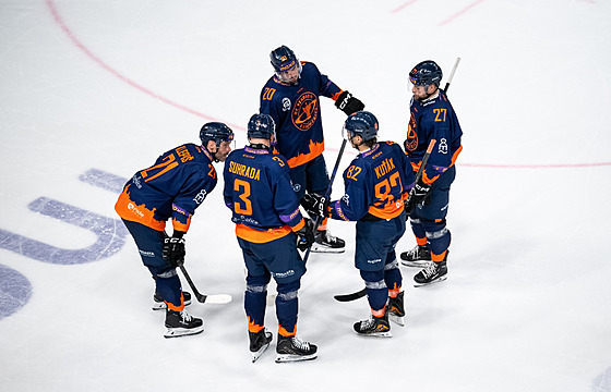 Hokejisté Stadionu Litom��ice.