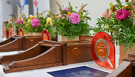 Spolenost pátelská 55+ a Inspirativní soc.podnik