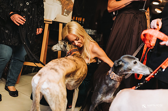 Známé tváe spojily síly, aby pomohly týraným chrtm ze panlska (14. záí...