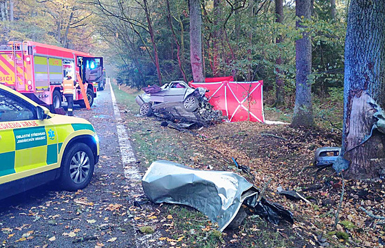 U T�ebon� narazilo auto do stromu, �idi� zem�el.