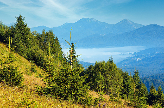 Tudy prchají Ukrajinci před odvodem. U vsi v Karpatech číhá smrt, cestu podceňují