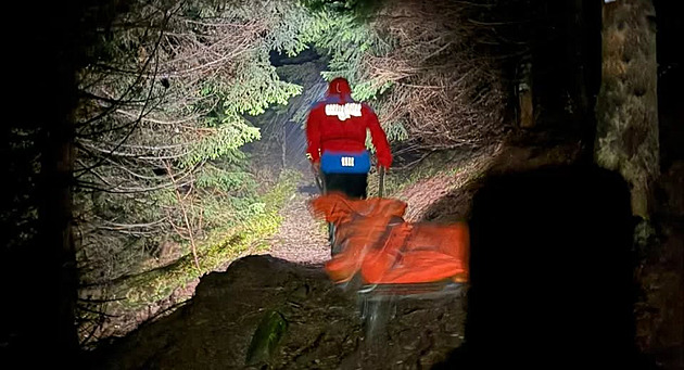 Pocitov zimní s dny výraznjí snhovou nadílkou opt zamstnaly horské...