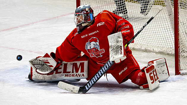 ONLINE: Lídr drtí Budějovice, Pardubice po neuznaném gólu ztrácí. Litvínov zvítězil