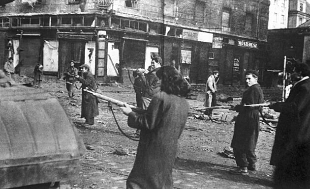 Krvavý lynč v Budapešti. Agenta pověsili na strom a umlátili, líčil fotograf