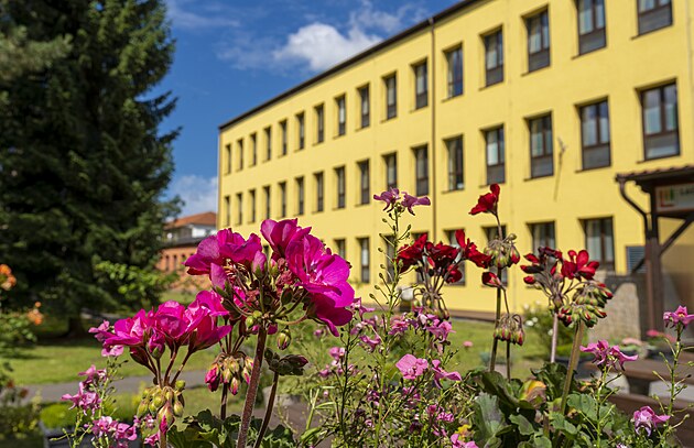 Slu�nost nen� samoz�ejmost?