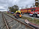 idi v obci Zaov narazil do elezninho nspu zejm kvli mikrospnku....