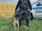 Policejn pes Kid vyptral ztracenho myslivce u Tlumaova na Zlnsku. (16....