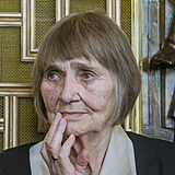 Danu�ka N�mcov�