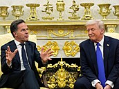 �éf NATO Mark Rutte a americký prezident Donald Trump p�i jednání v Bílém dom�....