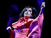 Islandská zpvaka Björk
