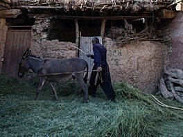 Základem stavební konstrukce jsou silné, a� padesáticentimetrové nosné st�ny....