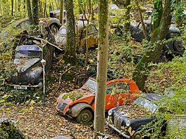 V zalesn�ném údolí, kde by to asi nikdo ne�ekal, se nachází desítky takových...