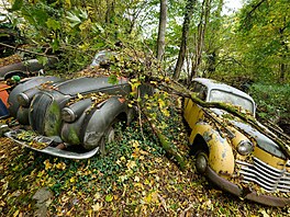 Fröhlich se narodil v roce 1950, a s tímto rokem to vlastn� celé souvisí....