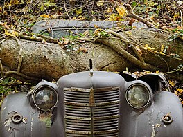 Práv� coby restaurátor Fröhlich m�l prohlásit památné: �Alte Autos müssen nicht...