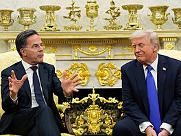 �éf NATO Mark Rutte a americký prezident Donald Trump p�i jednání v Bílém dom�....