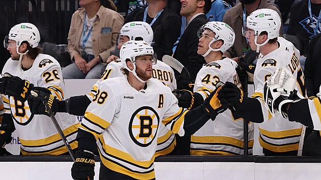 �to�n�k David Pastr��k z Boston Bruins se raduje z trefy proti Utah Mammoth.