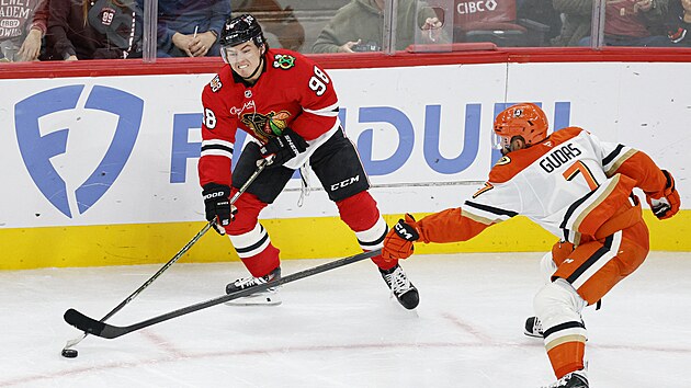 Obr�nce Radko Guda z Anaheim Ducks se sna�� vyp�chnout puk Connoru Bedardovi z Chicago Blackhawks.