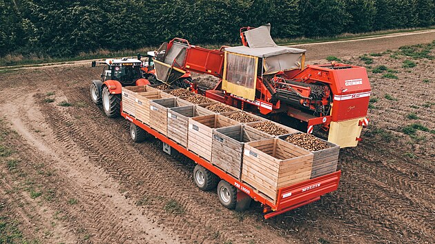 Ide�ln� podm�nky pot�ebuje p�stitel i p�i sklizni brambor a n�kdy si na n� mus� po�kat. (22. ��jna 2025)