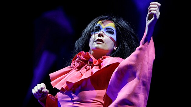 Islandská zp�va�ka Björk