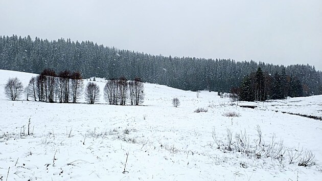 Na přelomu roku bude v Česku vydatně sněžit, hrozí závěje