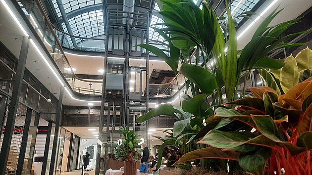 Obchodn centrum Grand v Pardubicch se po tm dvoulet rekonstrukci oteve veejnosti. (23. jna 2025)