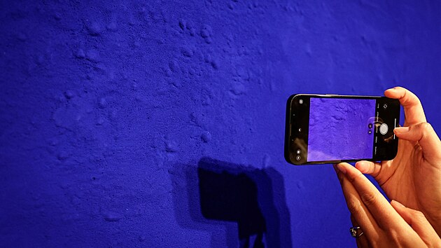 Vz�cn� obraz Yves Kleina se v pa��sk� auk�n� s�ni Christie�s prodal za 18,4 milionu eur. 