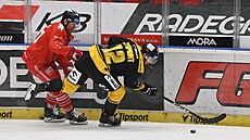 Souboj u mantinelu v utkání Olomouc - Litvínov. Blí� k puku má hostující Pawel...