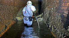 Odstranní takového tukovce je velmi pracné.