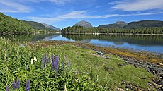 Fjord jako místo na start lovu