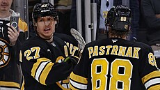 Hampus Lindholm z Boston Bruins slaví vítzství z Davidem Pastrákem.