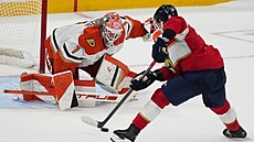 Branká� Luká� Dostál z Anaheim Ducks zasahuje proti nájezdu Evana Rodriguese z...