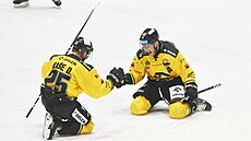 David Kae a Ondej Kae slaví vítzný gól Litvínova v zápase s Libercem.