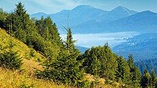 Krajina kolem karpatské vesnice Zelene na západní Ukrajin u hranic s...