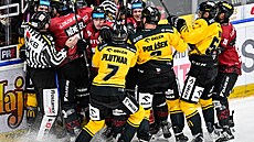 Hrá�i Sparty a Litvínova se pustili do hromadné poty�ky.