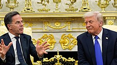 éf NATO Mark Rutte a americký prezident Donald Trump pi jednání v Bílém dom....