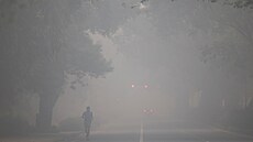 Mu bí po silnici v Novém Dillí po oslavách svátku Díválí. (21. íjna 2025)