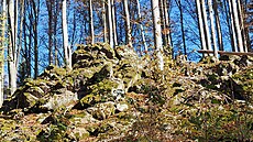Nad d�eva�skou vesnicí Zwieslerwaldhaus