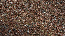 ASEKOL: pl milionu tun odpadu se promnilo v suroviny