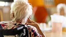 Slu�nost není samoz�ejmost?